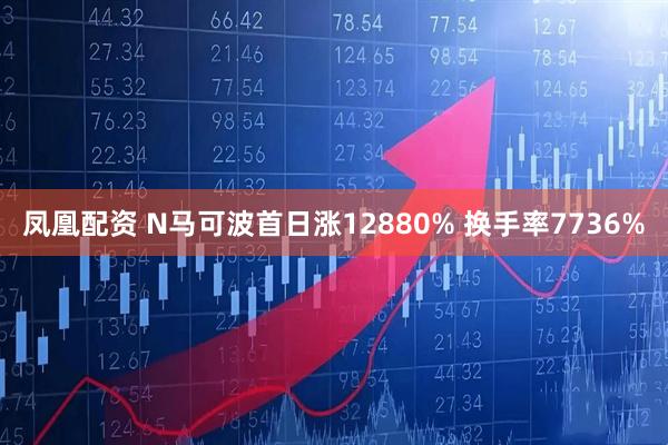 凤凰配资 N马可波首日涨12880% 换手率7736%