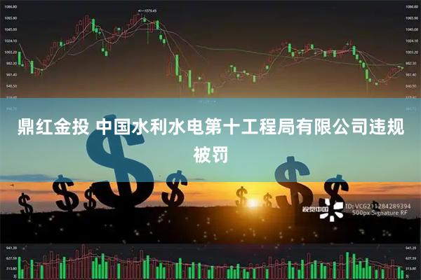 鼎红金投 中国水利水电第十工程局有限公司违规被罚