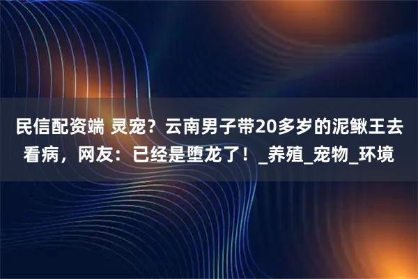 民信配资端 灵宠？云南男子带20多岁的泥鳅王去看病，网友：已经是堕龙了！_养殖_宠物_环境