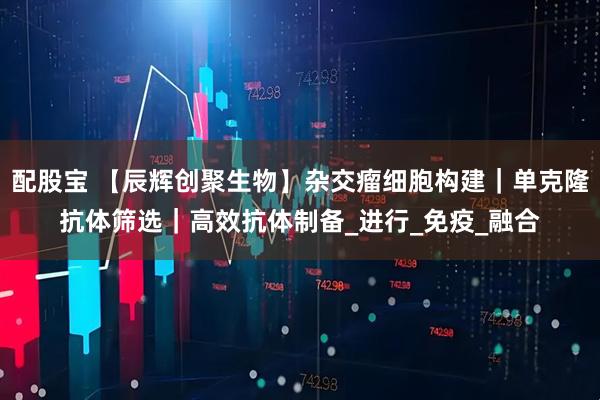 配股宝 【辰辉创聚生物】杂交瘤细胞构建｜单克隆抗体筛选｜高效抗体制备_进行_免疫_融合