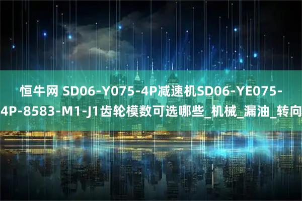 恒牛网 SD06-Y075-4P减速机SD06-YE075-4P-8583-M1-J1齿轮模数可选哪些_机械_漏油_转向