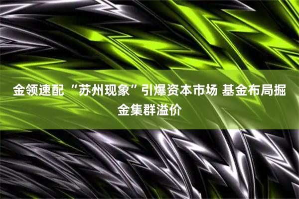 金领速配 “苏州现象”引爆资本市场 基金布局掘金集群溢价
