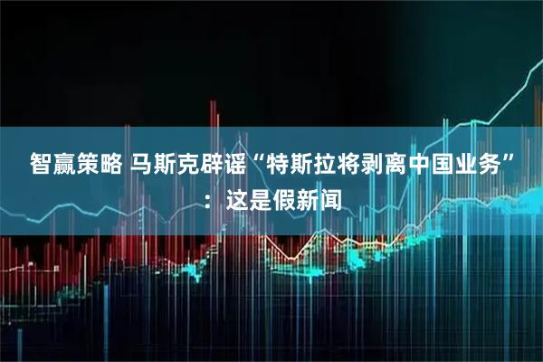 智赢策略 马斯克辟谣“特斯拉将剥离中国业务”：这是假新闻