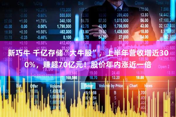 新巧牛 千亿存储“大牛股”，上半年营收增近300%，赚超70亿元！股价年内涨近一倍